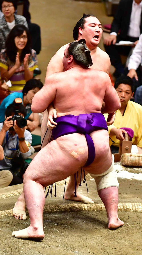 栃ノ心（左）は寄り切りで竜電を下す（撮影・小沢裕）