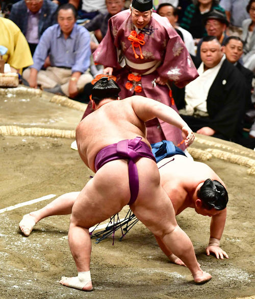 朝乃山は玉鷲（右）を突き落としで下す（撮影・小沢裕）
