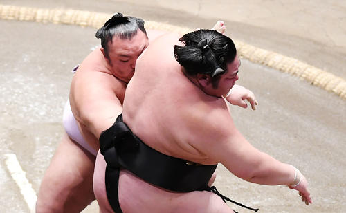 剣翔（右）は突き出しで琴勇輝に敗れる（撮影・加藤諒）