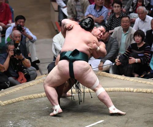 豊山（手前）は寄り切りで松鳳山を下す（撮影・加藤諒）