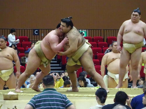 秋場所休場の大関高安（右）は巡業合流初日のこの日、十両魁勝に胸を出す（撮影・加藤裕一）