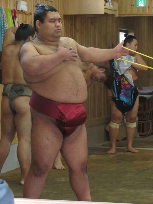 十両時代以来となるエンジ色の締め込みを着けて、ゴムチューブを使ったトレーニングを行った高安