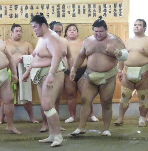 二所ノ関一門の連合稽古で輝（手前左）に敗れ、顔をしかめて左肘を気にする高安（同右）