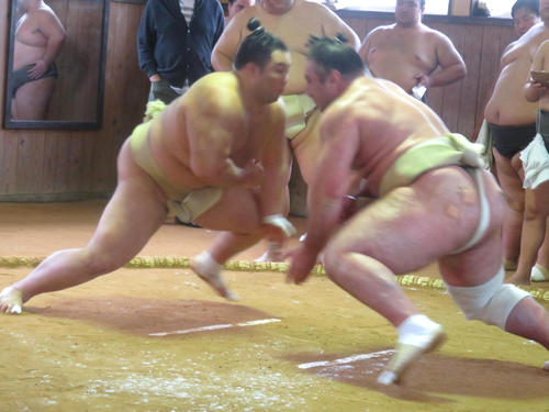 申し合い稽古で栃ノ心（右）と立ち合いでぶつかる朝乃山
