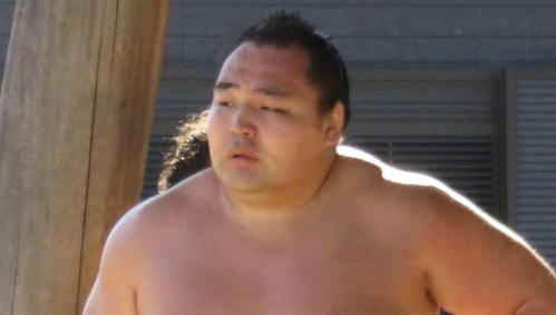 鶴竜（19年11月撮影）
