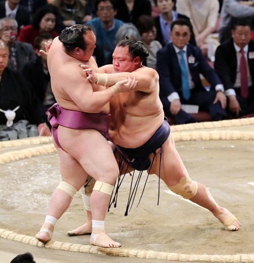 宝富士(左)を押し出しで破る北勝富士(撮影・鈴木正人)