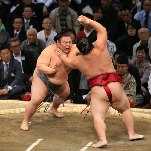 大栄翔(右)をはたき込みで破る貴景勝(撮影・栗木一考)