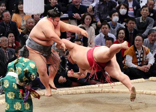 大栄翔(右)をはたき込みで破る貴景勝(撮影・鈴木正人)