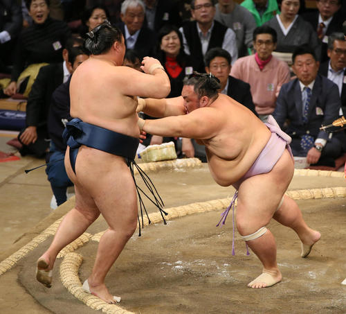 玉鷲(左)を突き出しで破る琴勇輝(撮影・栗木一考)