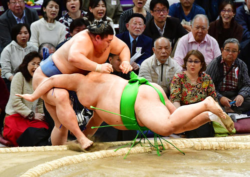 正代（左）を寄り切りで破る千代丸（撮影・清水貴仁）