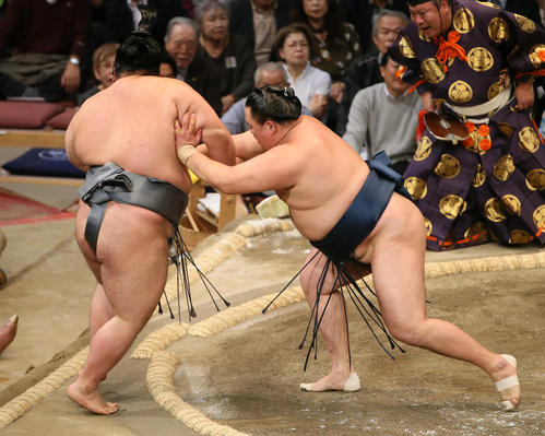 貴景勝(左)を押し出しで破る玉鷲(撮影・栗木一考)