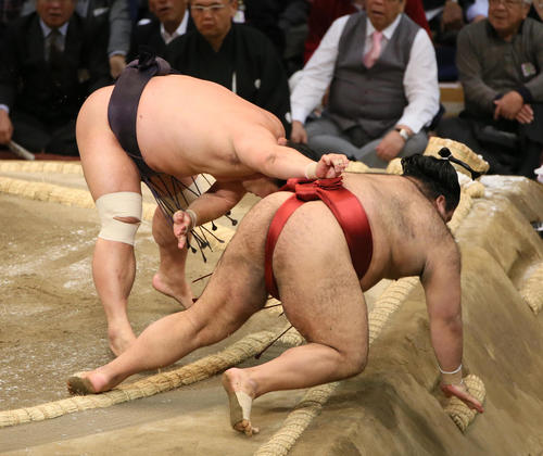 高安(右)を寄り倒しで破る妙義龍(撮影・栗木一考)
