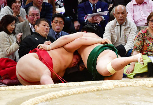佐田の海（右）を阿武咲が寄り切りで破るも錦戸親方が下敷きとなる（撮影・清水貴仁）