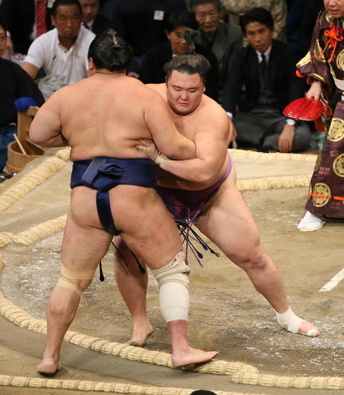 北勝富士（左）を寄り切りで破る朝乃山（撮影・栗木一考）