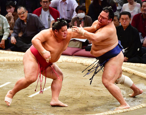 北勝富士（右）を押し出しで破る大栄翔（撮影・清水貴仁）