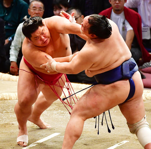 北勝富士（右）を押し出しで破る大栄翔（撮影・清水貴仁）
