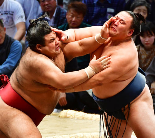 玉鷲（右）と激しい攻防をみせる高安（撮影・清水貴仁）