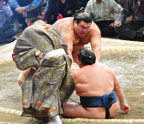 玉鷲（手前）を突き倒しで破る高安（撮影・清水貴仁）