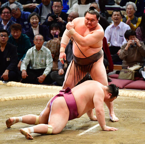 宝富士（下）をはたき込みで破る白鵬（撮影・清水貴仁）