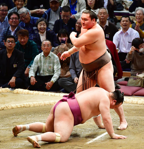 宝富士（手前）をはたき込みで破る白鵬（撮影・清水貴仁）