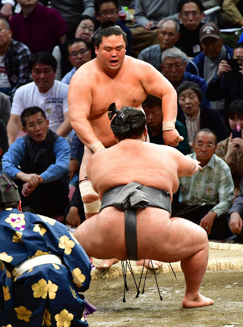 妙義龍（奥）を押し出す貴景勝（撮影・清水貴仁）