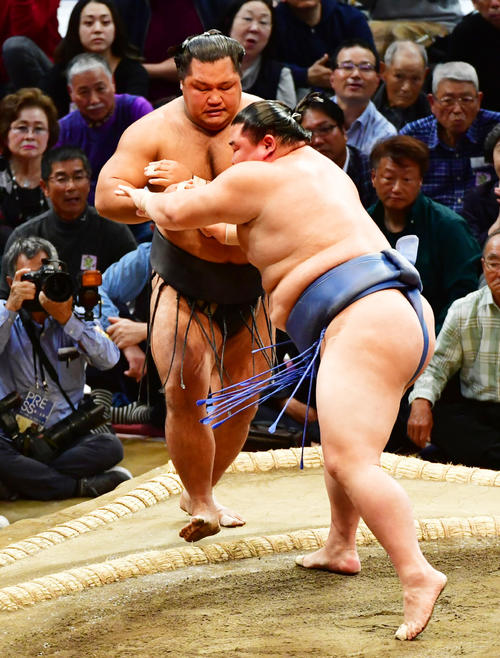 松鳳山（左）を押し出しで破る正代（撮影・清水貴仁）