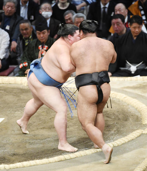 松鳳山を押し出す正代（撮影・今浪浩三）