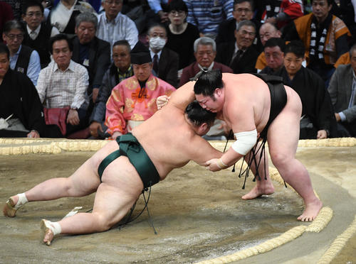 豊山（左）をつき落としで下す剣翔（撮影・今浪浩三）