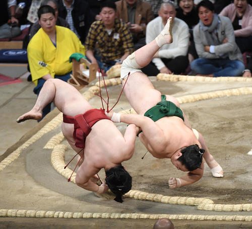 炎鵬（左）を寄り切る佐田の海（撮影・今浪浩三）