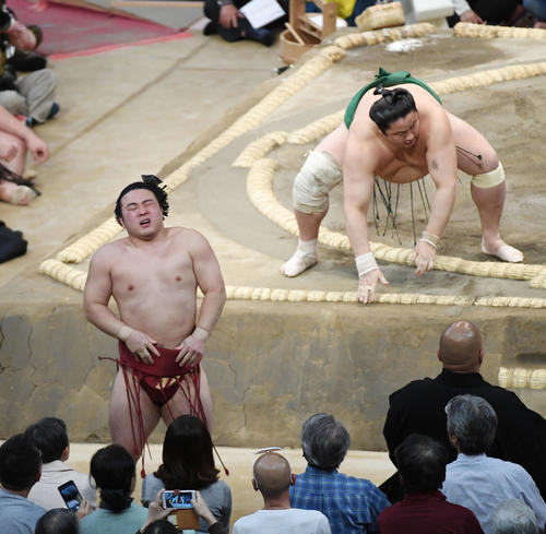 佐田の海に寄り切りで敗れガックリする炎鵬（撮影・今浪浩三）