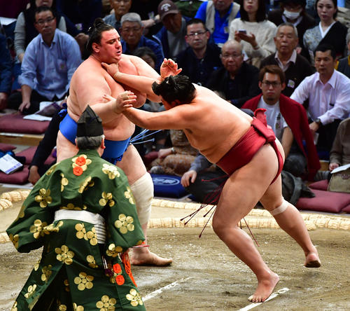 碧山（左）を押し出しで破る阿炎（撮影・清水貴仁）