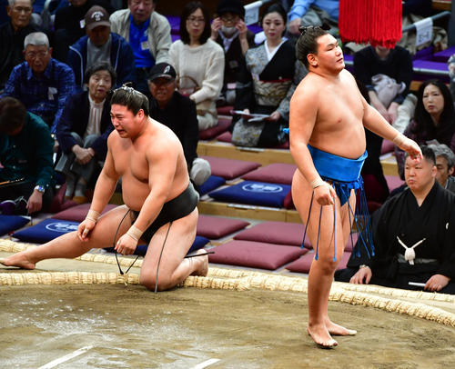 若元春（左）を上手投げで破る豊昇龍（撮影・清水貴仁）