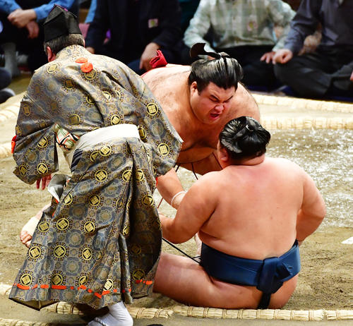 玉鷲（手前）を突き倒しで破る高安（撮影・清水貴仁）