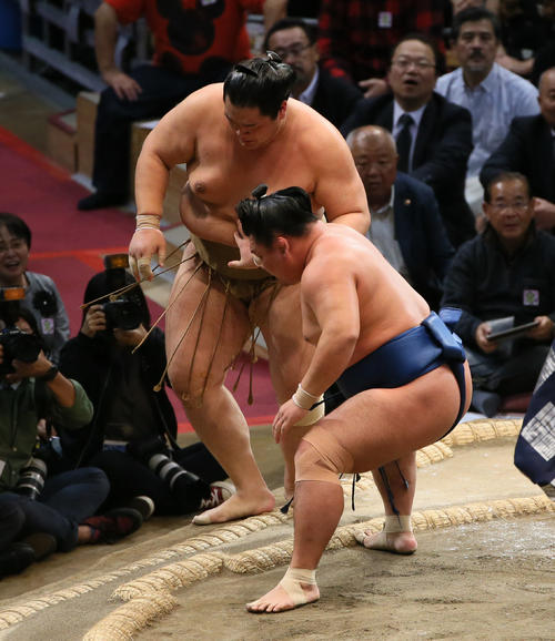 輝（左）を押し出しで破る照強（撮影・栗木一考）