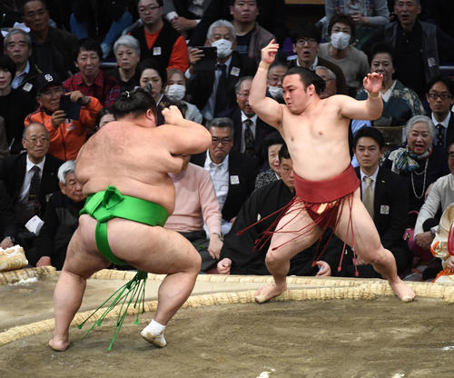 炎鵬を突き出しで破る千代丸（撮影・今浪浩三）