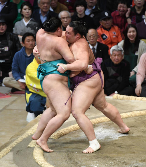 明生を寄り切りで破る朝乃山（撮影・今浪浩三）
