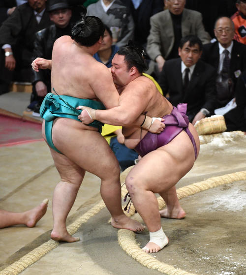 明生を寄り切りで破る朝乃山（撮影・今浪浩三）