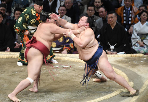 北勝富士を突き出しで破る阿炎（撮影・今浪浩三）