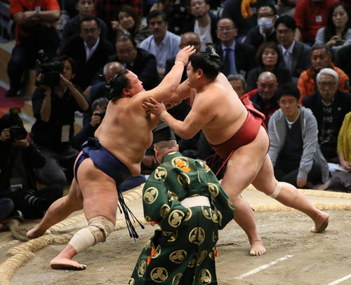 北勝富士（左）を突き出しで破る阿炎（撮影・栗木一考）
