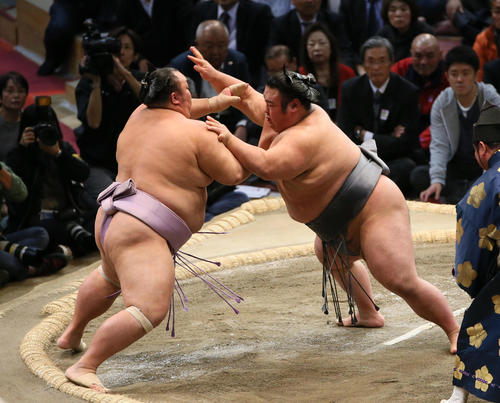 琴勇輝（左）を突き出しで破る貴景勝（撮影・栗木一考）