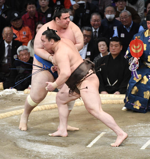 最初の取組が合わない白鵬＝碧山（撮影・今浪浩三）