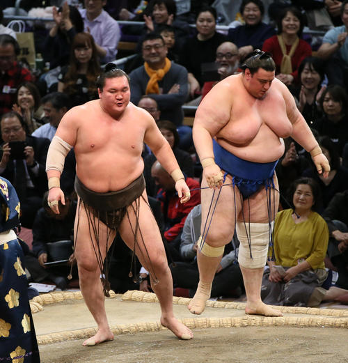 碧山（右）を寄り切りで下す白鵬（撮影・栗木一考）