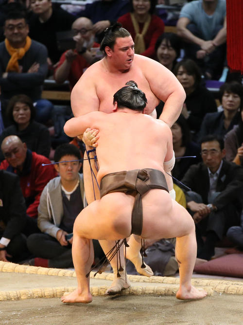 碧山（奥）を寄り切りで下す白鵬（撮影・栗木一考）