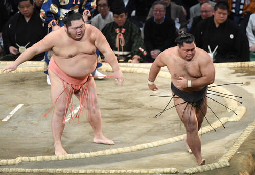 松鳳山を寄り切りで破る千代大龍（撮影・今浪浩三）