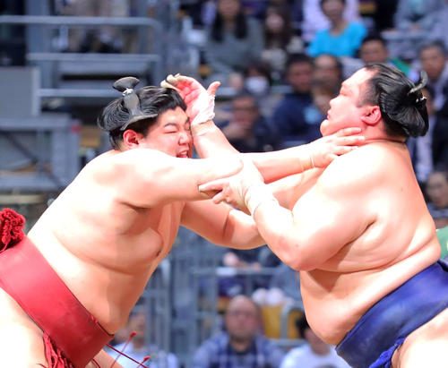 北勝富士（右）の攻めに耐える阿炎（撮影・河田真司）