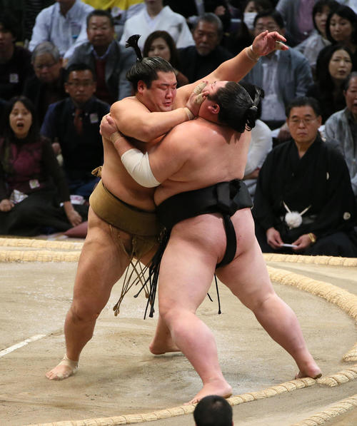 剣翔（右）を押し出しで破る輝（撮影・栗木一考）