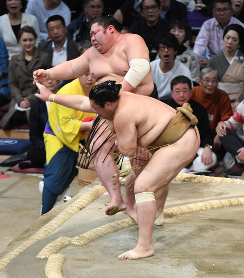 剣翔を押し出しで破る輝（撮影・今浪浩三）