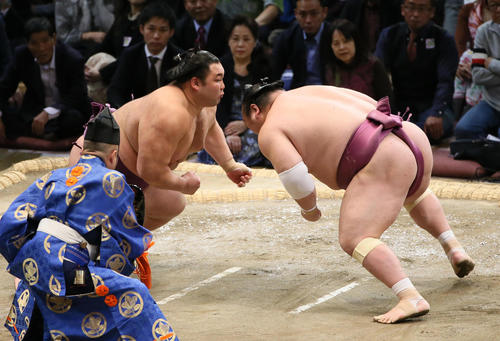 宝富士（右）を寄り切りで破る朝乃山（撮影・栗木一考）