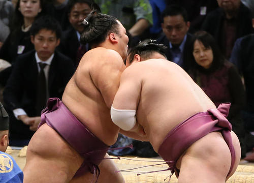 宝富士（右）を寄り切りで破る朝乃山（撮影・栗木一考）