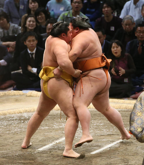 御嶽海（右）を寄り切りで破る遠藤（撮影・栗木一考）